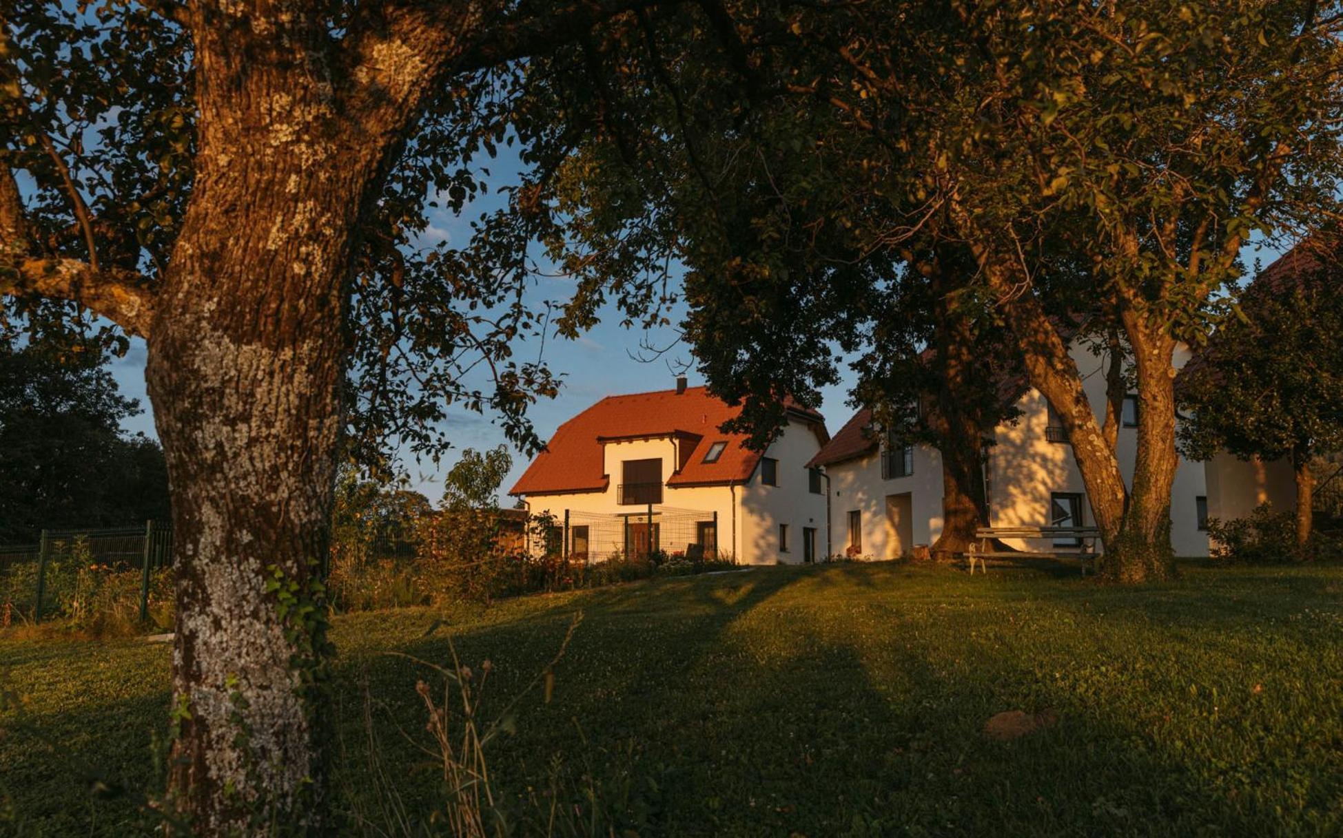 Hisa Na Ravnah Hotel Pišece Eksteriør billede